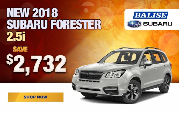 Forester lease deals